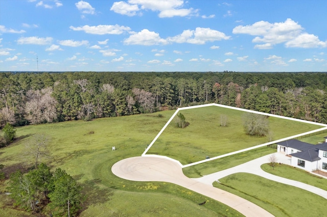 2508 Harper Cliff Ct, Hockley TX, 77447 land for sale