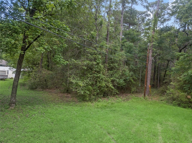 Listing photo 2 for TBD Cottowood Dr, Montgomery TX 77356