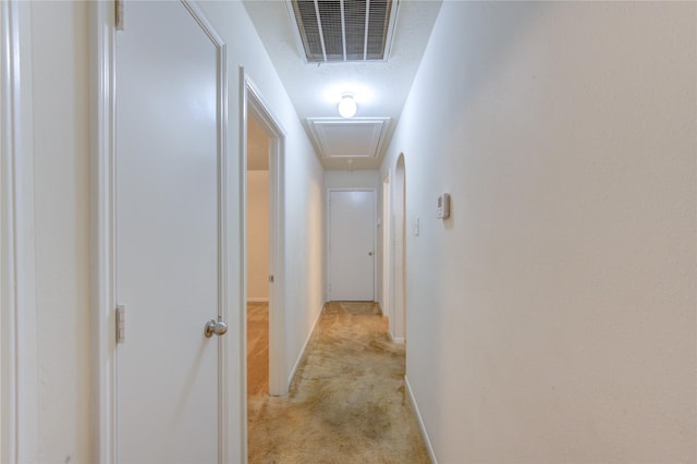 hall featuring light carpet