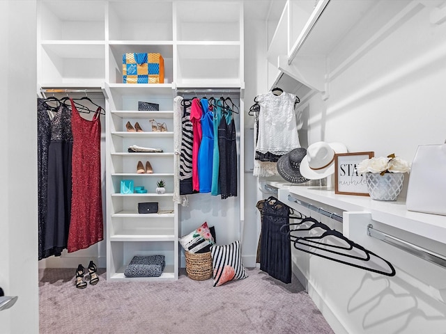 spacious closet with carpet