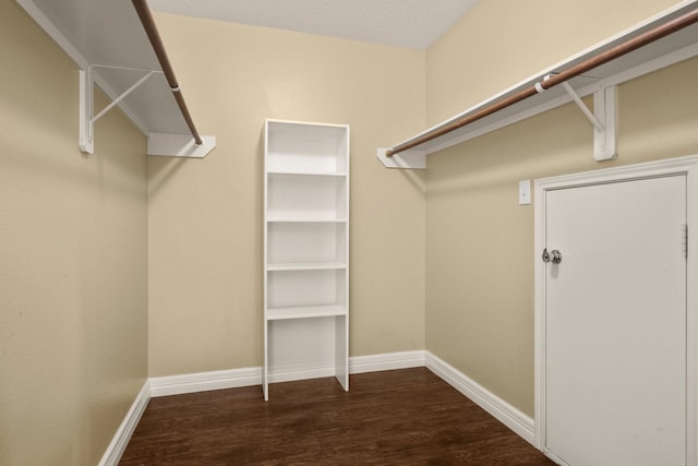 walk in closet featuring dark hardwood / wood-style floors