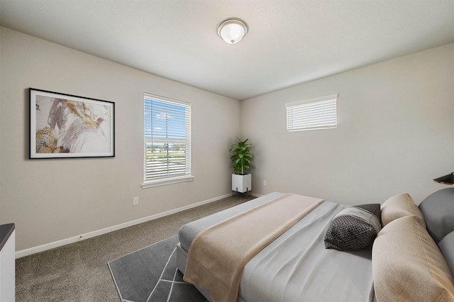 bedroom featuring carpet