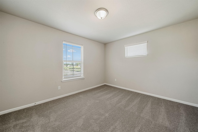 carpeted empty room with plenty of natural light