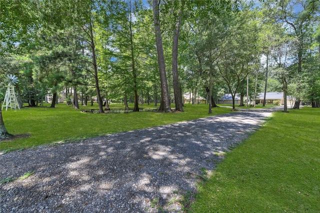 view of home's community with a lawn