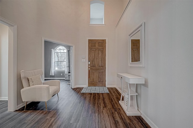 foyer entrance with dark wood-style floors, baseboards, and a high ceiling