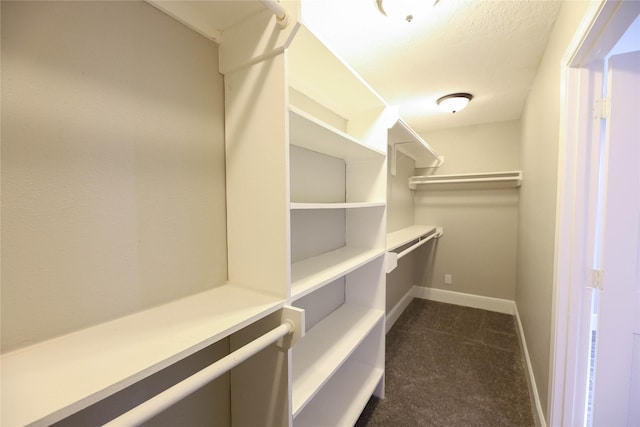 spacious closet with dark colored carpet