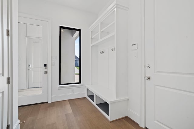 mudroom with wood-type flooring