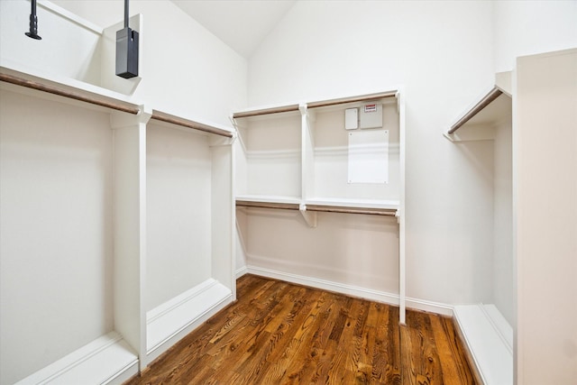 spacious closet featuring lofted ceiling and wood finished floors