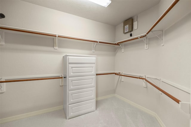 spacious closet with light carpet