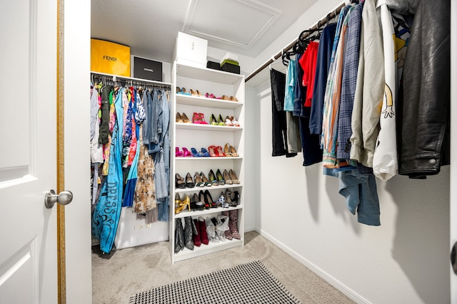 walk in closet featuring light colored carpet