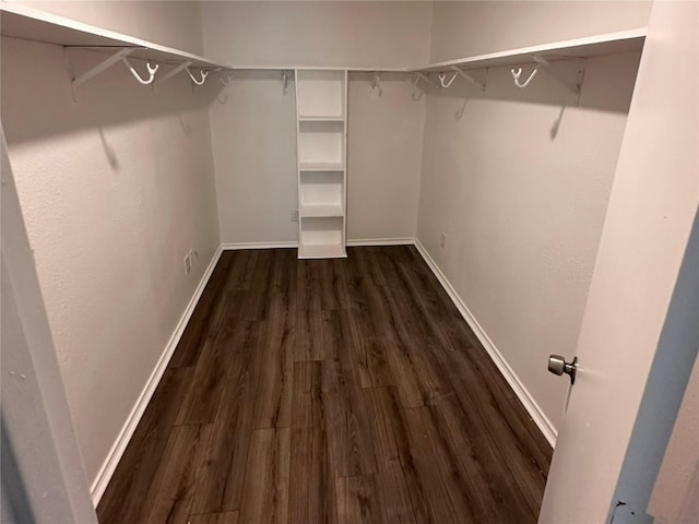 walk in closet with dark wood-type flooring