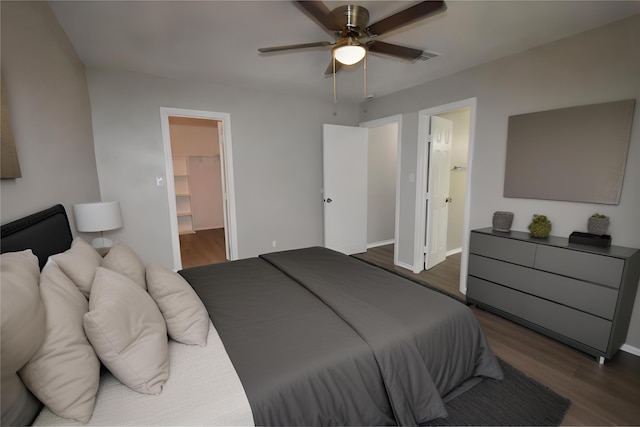 bedroom with ceiling fan, a walk in closet, dark hardwood / wood-style flooring, and a closet