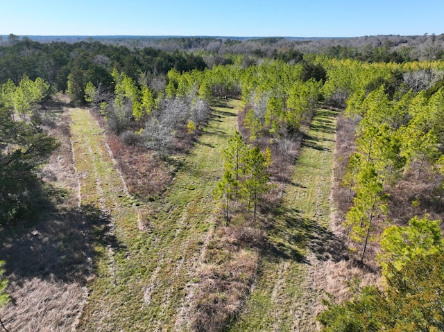 Listing photo 3 for 0 Kittrell Rd, Oakhurst TX 77359