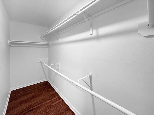 spacious closet featuring dark wood finished floors