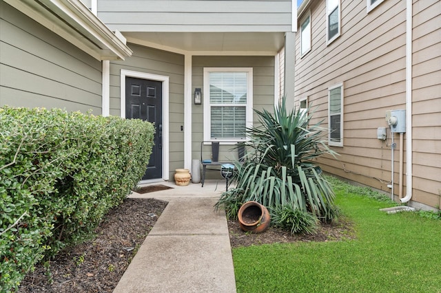 entrance to property featuring a yard