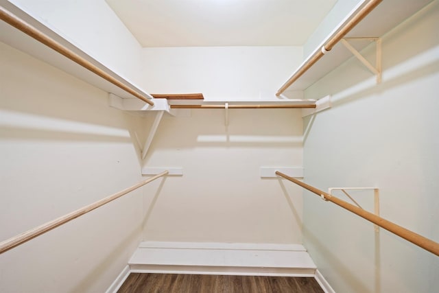 walk in closet with dark wood-type flooring