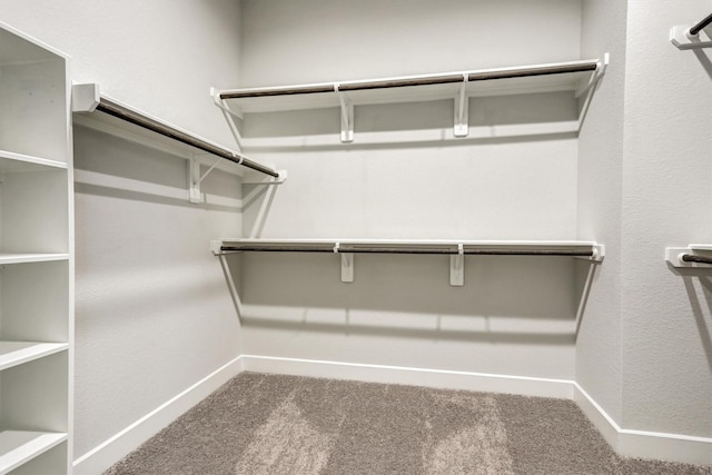 walk in closet with carpet