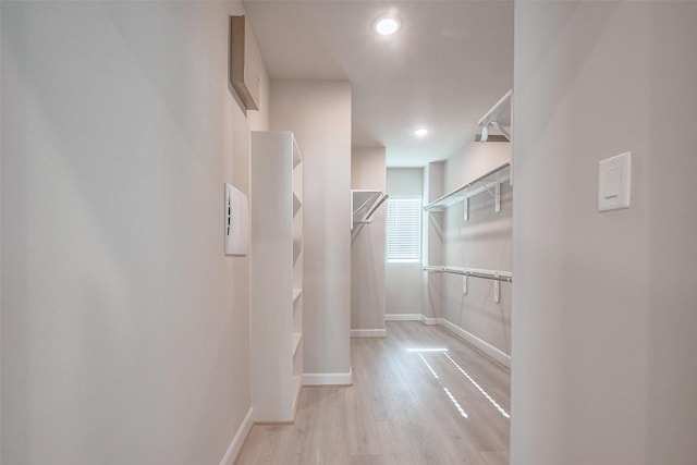 spacious closet featuring light wood-style flooring