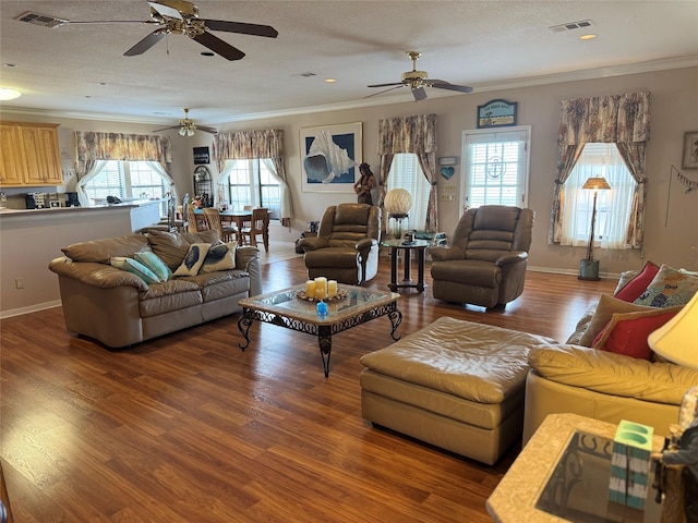 living room with dark hardwood / wood-style flooring, crown molding, a textured ceiling, and a healthy amount of sunlight