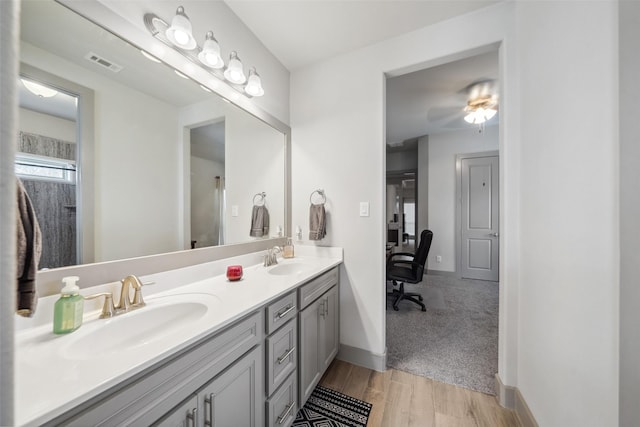 bathroom featuring hardwood / wood-style flooring and vanity