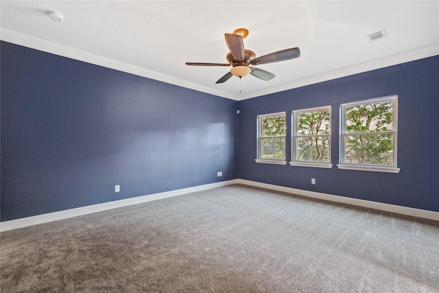 spare room featuring ceiling fan, ornamental molding, and carpet flooring