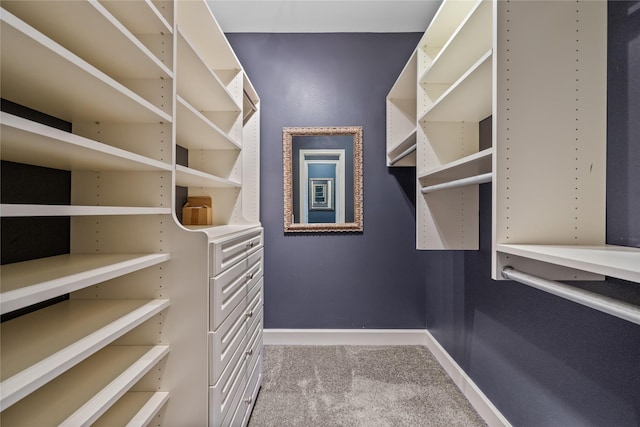 spacious closet featuring carpet flooring