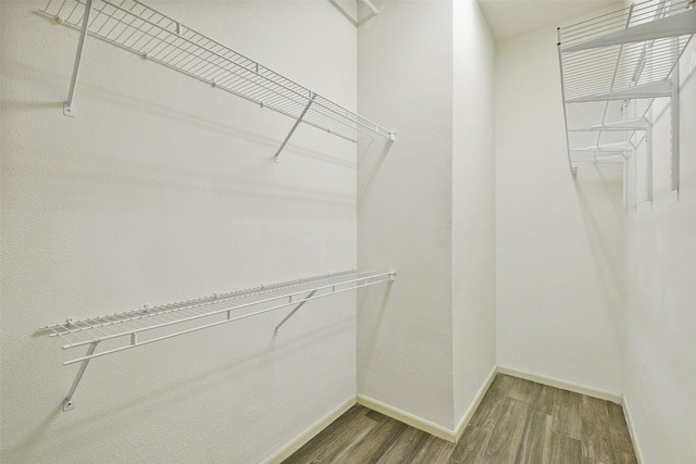 walk in closet featuring hardwood / wood-style flooring