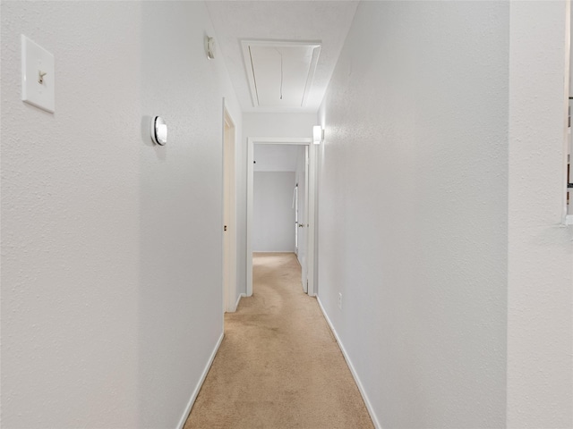 hall with light colored carpet