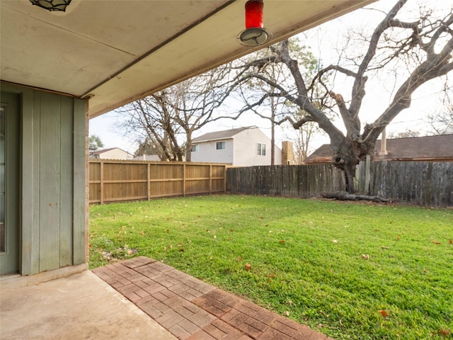 view of yard featuring a patio area