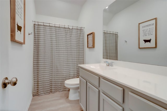 bathroom featuring vanity, toilet, and hardwood / wood-style floors