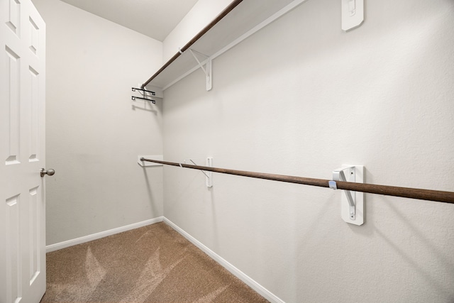 spacious closet with carpet