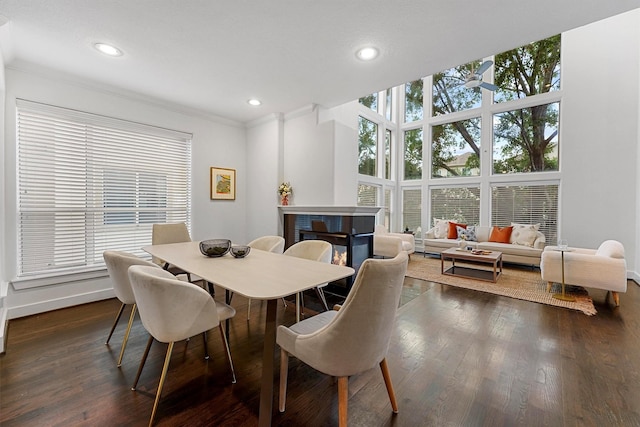 dining space featuring dark wood-type flooring, a fireplace, and a healthy amount of sunlight