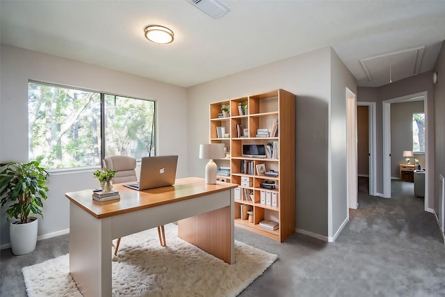 view of carpeted office space