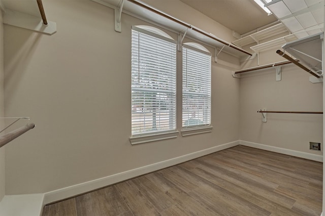 spacious closet with light wood-type flooring