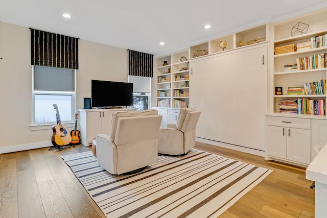 living room featuring light hardwood / wood-style flooring