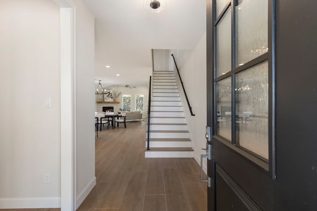 entryway featuring dark hardwood / wood-style flooring