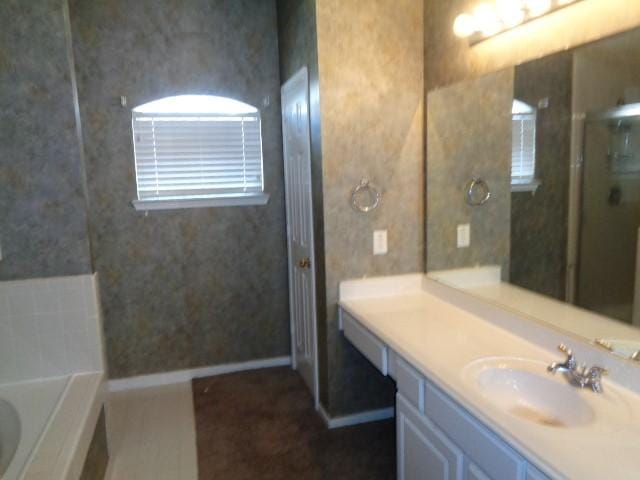 bathroom with vanity and separate shower and tub