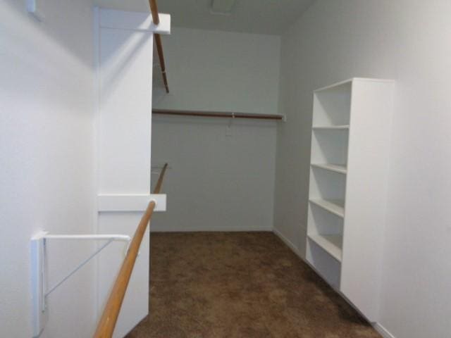 walk in closet featuring dark colored carpet