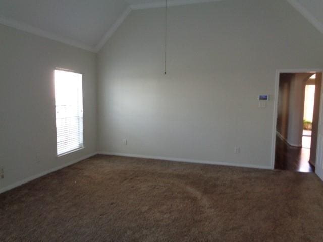 carpeted empty room featuring high vaulted ceiling