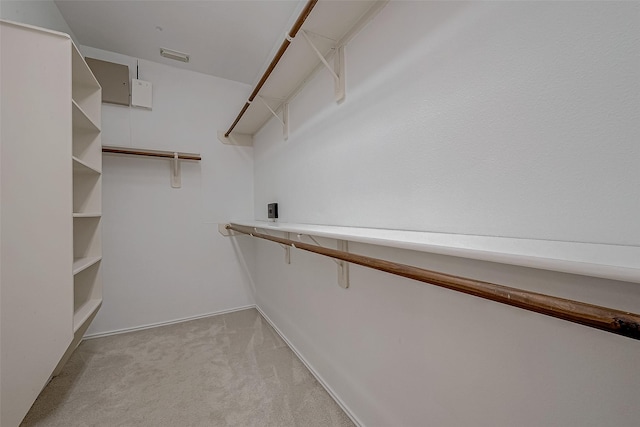 spacious closet featuring light colored carpet