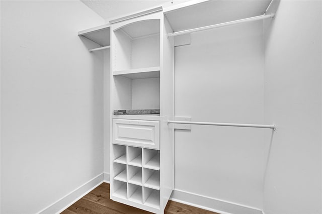 spacious closet featuring dark hardwood / wood-style floors