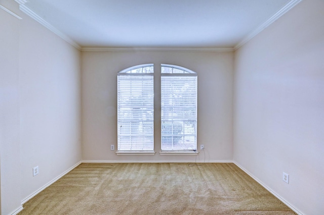 carpeted empty room featuring crown molding