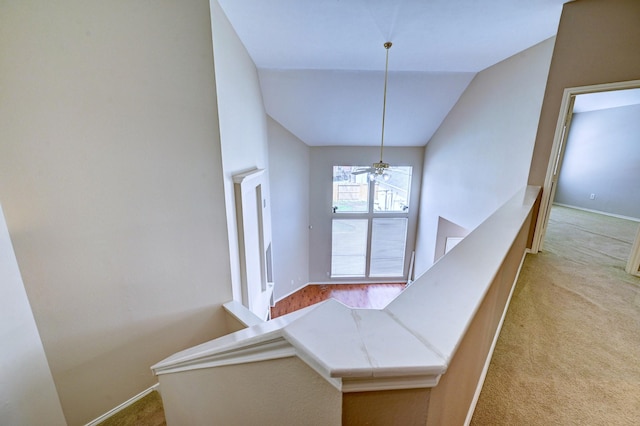 stairs featuring ceiling fan and carpet