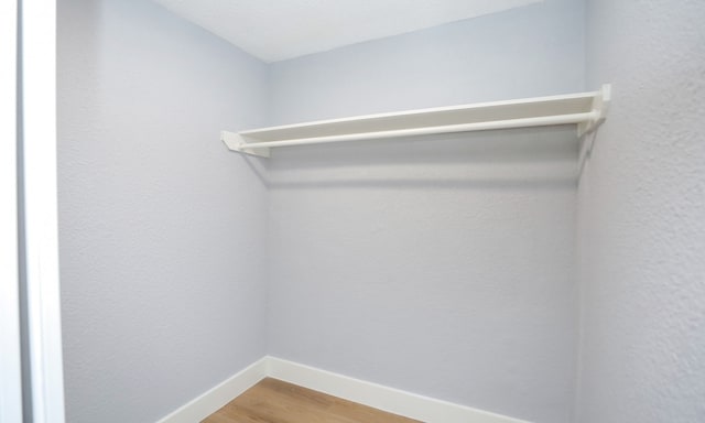 walk in closet with hardwood / wood-style flooring