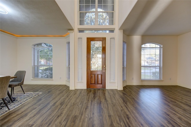 foyer with dark hardwood / wood-style floors