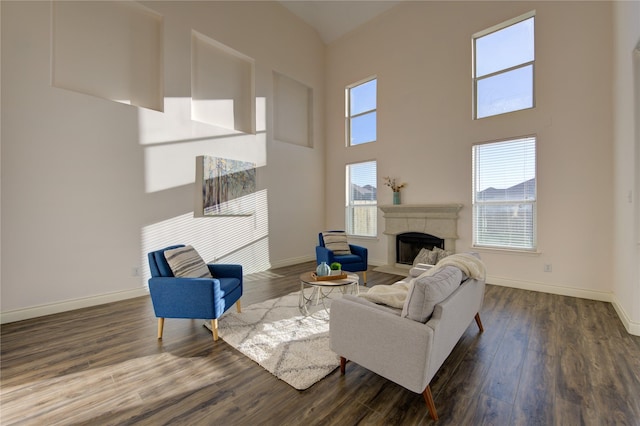 living room with dark wood-type flooring and a high ceiling