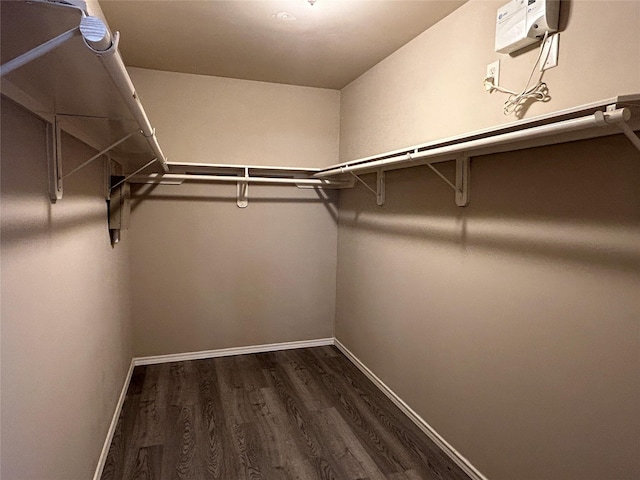 walk in closet with dark hardwood / wood-style flooring