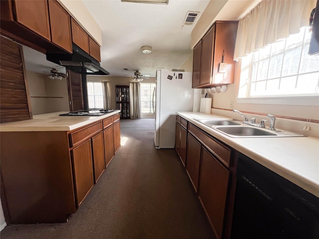 kitchen featuring sink, black gas stovetop, ceiling fan, and plenty of natural light