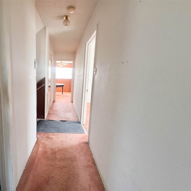 hall featuring light carpet and a textured ceiling