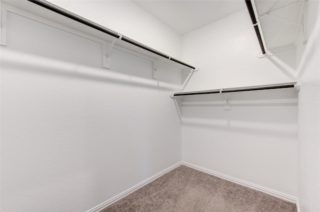 walk in closet with carpet